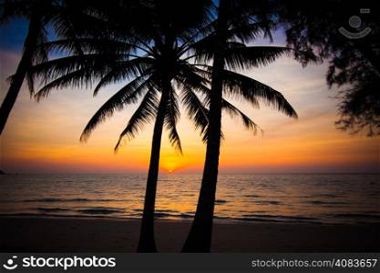 Beautiful sunset at tropical beach with palm trees