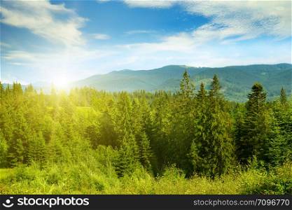 Beautiful sunset in picturesque mountains. Carpathians in summer.