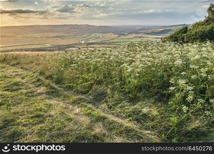 Beautiful sunset landscape image over English rolling countryside