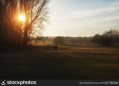 Beautiful sunset landscape shining through trees onto beautifully lit fields