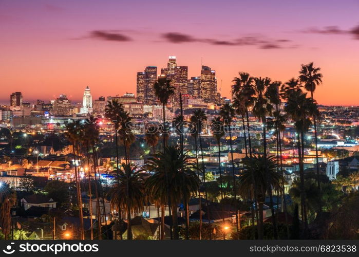 Beautiful sunset of Los Angeles downtown skyline and palm trees in foreground