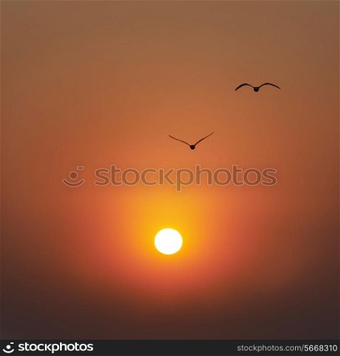 Beautiful sunset on the sea, red sun and flying seagulls