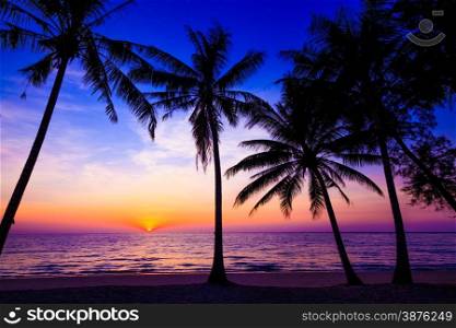 Beautiful sunset. Sunset over the ocean with tropical palm trees. Paradise beach