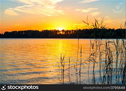 Beautiful sunset. The sun sets over the lake