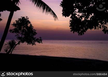 Beautiful sunset with a palmtree silhouette and ocean in Bali, pink and purple colors landscape nature. Beautiful sunset with a palmtree silhouette and ocean in Bali, pink and purple colors landscape