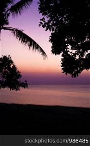Beautiful sunset with a palmtree silhouette and ocean in Bali, pink and purple colors landscape nature. Beautiful sunset with a palmtree silhouette and ocean in Bali, pink and purple colors landscape