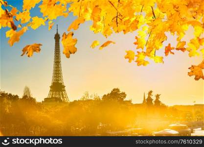 Beautiful sunset with Eiffel Tower and Seine river in Paris with orange autumn falling leaves, Paris France