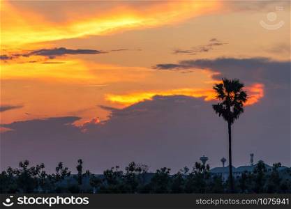 Beautiful sunset with silhouette palm trees on the twilight sky background in Thailand.