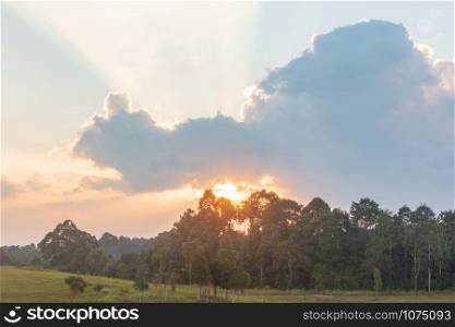 Beautiful sunset with sunlight ray shining throught beautiful clouds near the forest.