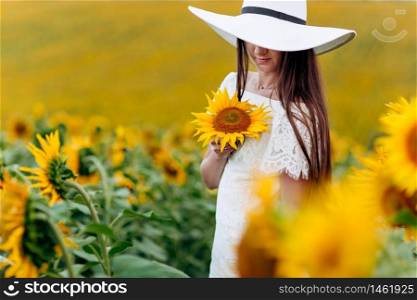 beautiful sweet young woman in a white dress and hat in a field of sunflowers. girl is holding sunflower in her hand. summer holiday,. beautiful sweet young woman in a white dress and hat in a field of sunflowers. girl is holding sunflower in her hand. summer holiday