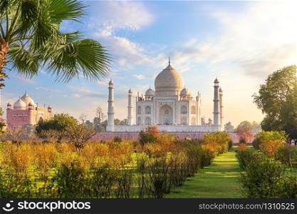 Beautiful Taj Mahal in the garden, India, Agra.. Beautiful Taj Mahal in the garden, India, Agra