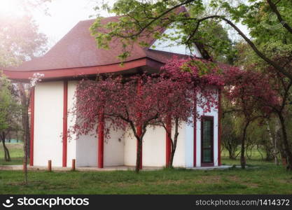 Beautiful tea house in japanese garden at spring morning