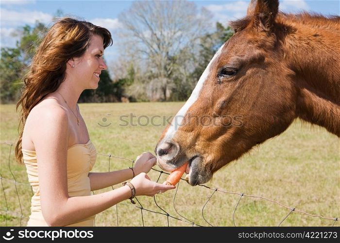 Beautiful teen girl giving a carrot to her horse.