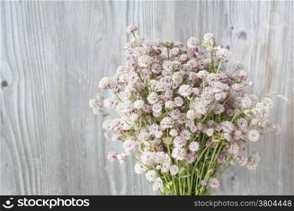 Beautiful tender bouquet of summer meadow flowers on wooden background. Floral composition in rural vintage style