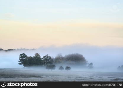 Beautiful thick fog sunrise Autumn Fall landscape over fields with treetops visible through fog