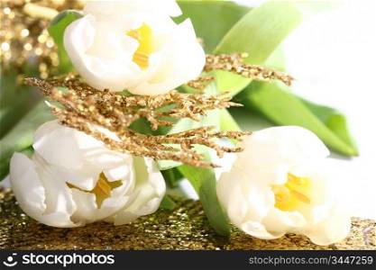 beautiful three white tulips closeup