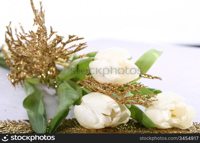 beautiful three white tulips closeup