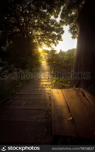 Beautiful toned photo of sun beam shining on wooden path at forest