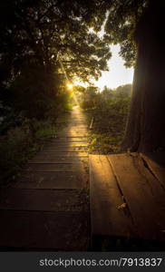 Beautiful toned photo of sun beam shining on wooden path at forest