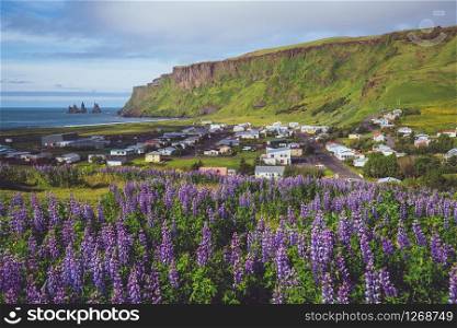 Beautiful town of Vik i Myrdal in Iceland in summer. The village of Vik is the southernmost village in Iceland on the ring road around 180 km southeast of Reykjavik.