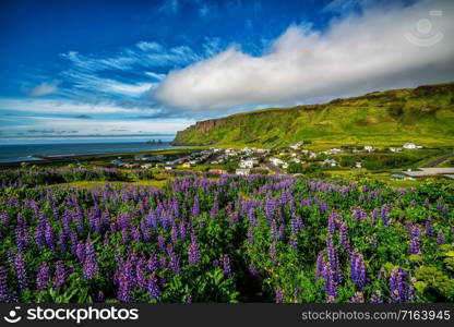 Beautiful town of Vik i Myrdal in Iceland in summer. The village of Vik is the southernmost village in Iceland on the ring road around 180 km southeast of Reykjavik.