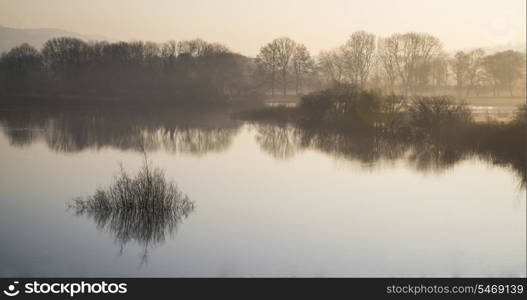 Beautiful tranquil landscape of lake in mist