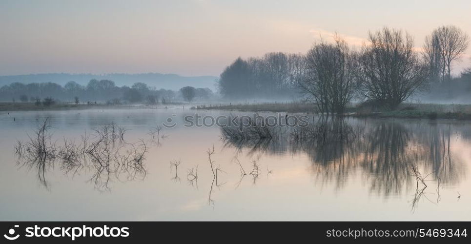 Beautiful tranquil landscape of lake in mist