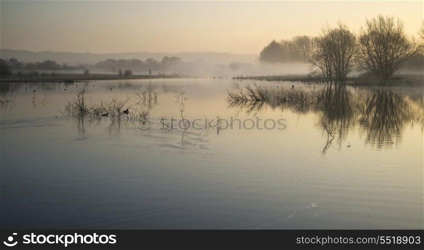 Beautiful tranquil landscape of lake in mist