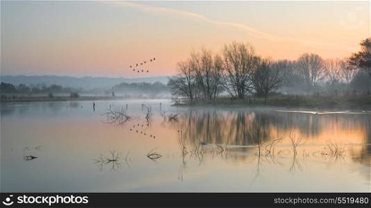 Beautiful tranquil landscape of lake in mist