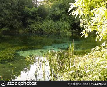 Beautiful, transparent water of Black Drim's River, Macedonia. Balcan nature.. Beautiful, transparent water of Black Drim's River, Macedonia.