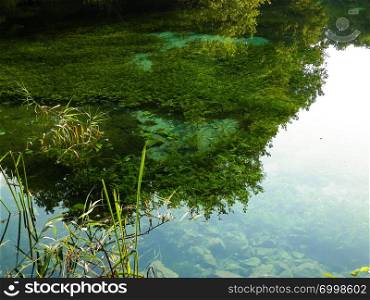 Beautiful, transparent water of Black Drim&rsquo;s River, Macedonia. Balcan nature.. Beautiful, transparent water of Black Drim&rsquo;s River, Macedonia.