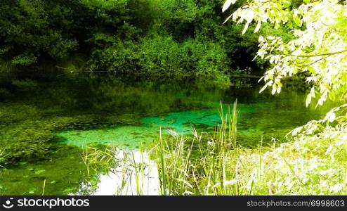 Beautiful, transparent water of Black Drim&rsquo;s River, Macedonia. Balcan nature.. Beautiful, transparent water of Black Drim&rsquo;s River, Macedonia.