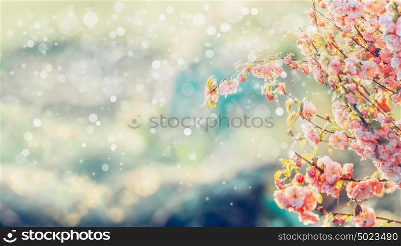 Beautiful tree blossom in sunlight and bokeh, summer blooming background in garden or park, outdoor