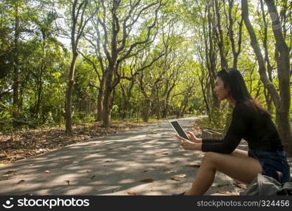 Beautiful trees with a sky background, suitable for background images