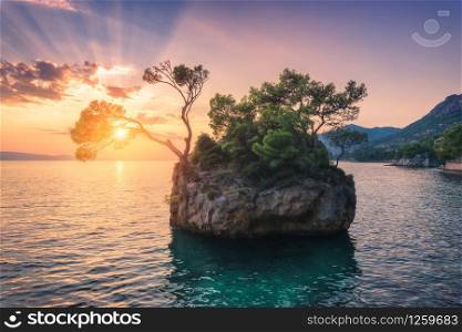 Beautiful trees with green leaves growing out of the rock at sunset in summer in Croatia. Colorful landscape with blue sea, cliff, mountains and orange sky with sunbeams. Travel. Nature background
