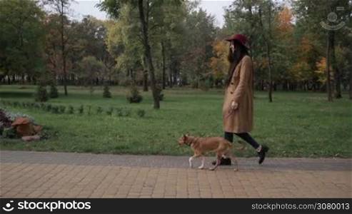 Beautiful trendy young woman stroking her lovely dog in autumn park. Cheerful long brown hair female in stylish clothes caressing her puppy while walking the dog in public park. Steadicam stabilized shot. Slow motion.