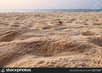 Beautiful tropical beach