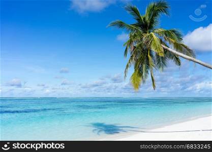 beautiful tropical beach and sea with coconut tree