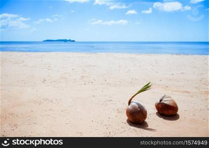 Beautiful tropical coconuts on tropical island beach with blue sky and clouds in summer, beach getaway vacation destination.
