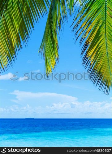 Beautiful tropical landscape, abstract natural border, fresh green palm tree leaves over wonderful seascape, summer vacation concept&#xA;