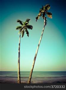 Beautiful tropical landscape with ocean and palm trees under blue sky. Image in vintage style. India