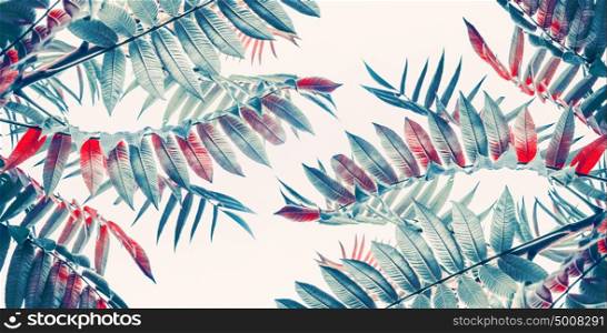 Beautiful tropical leaves background, banner
