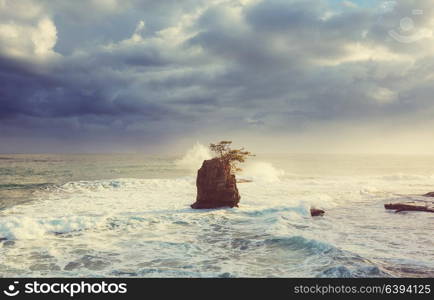 Beautiful tropical Pacific Ocean coast in Costa Rica