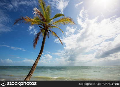 Beautiful tropical Pacific Ocean coast in Costa Rica