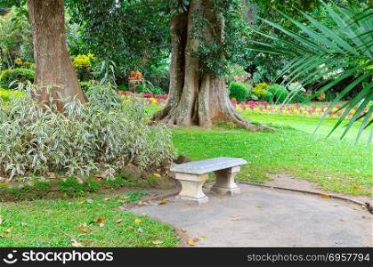 Beautiful tropical park and stone bench for relaxation.. Beautiful tropical park with trees and flowers. In a secluded place is a stone bench for rest.