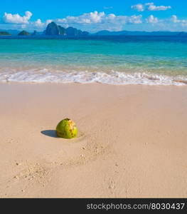 Beautiful tropical sand beach and coconut, Palawan, Philippines