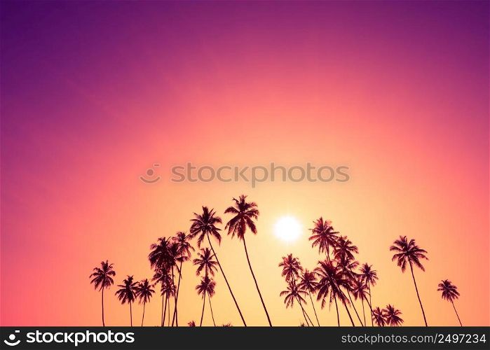 Beautiful tropical sunset with palm trees silhouettes and sky as copy space place