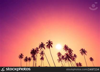 Beautiful tropical sunset with palm trees silhouettes and sky as copy space place