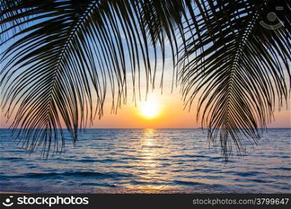 Beautiful tropical sunset with palm trees.Tropical beach. palms on the ocean beach