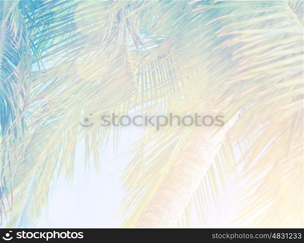 Beautiful tropical vintage background, palm leaves in bright sun light, fresh green exotic tree on blue sky backdrop, summer vacation concept